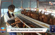 ผู้เลี้ยงไก่ไข่เตรียมบุกพาณิชย์ วอนแก้ปัญหาราคาตก