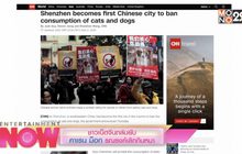 ชาวเน็ตจีนถล่มยับ คาเรน ม็อก รณรงค์เลิกกินหมา