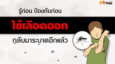 โรคภัยไม่เจ็บ : รู้ก่อน ป้องกันก่อน เตือนภัยประเทศไทย ไข้เลือดออกกลับมาระบาดอีกแล้ว
