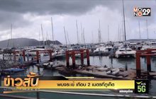 พบจระเข้ เกือบ 2 เมตรที่ภูเก็ต