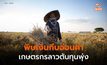 เกษตรกรลาวเจอพิษ ‘เงินกีบ’ อ่อนค่า ราคาปุ๋ย-เมล็ดพืช-เชื้อเพลิงพุ่ง