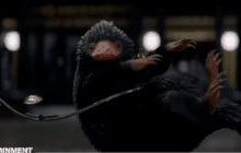 นักวิเคราะห์ชี้ Fantastic Beasts เป็นตัวอย่างที่ดีแก่อนาคตหนังฮีโร่