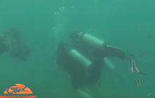 ชงยกเลิกดำน้ำ Try dive ชี้ทำลายปะการัง