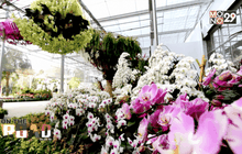 Good Morning Thailand 02-01-59