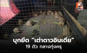 CIB บุกประชาอุทิศ ยึดสัตว์ป่าไซเตส 70 ตัว