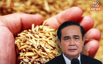 นายกฯ ปลื้ม 10 เดือน ไทยส่งออกข้าวโต 33% มั่นใจปีนี้ได้ตามเป้า 7.5 ล้านตัน