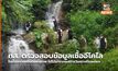 ทส. ตรวจสอบข้อมูลเชื้ออีโคไล ในน้ำตกก่อนขึ้นดอยสุเทพ ไม่ได้มาจากผลการวิเคราะห์โดยตรง