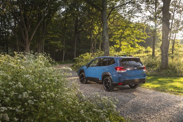 Subaru Forester Wilderness Edition