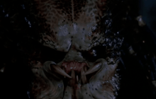 ผู้กำกับให้สัญญา Predator ต้องดังพอๆกับ Iron Man 3!