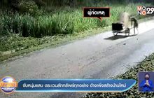 จับหนุ่มแสบ ตระเวนลักทรัพย์ทุกอย่าง อ้างเพิ่งสร้างบ้านใหม่
