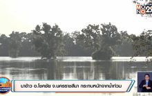 นาข้าว อ.โชคชัย จ.นครราชสีมา กระทบหนักจากน้ำท่วม