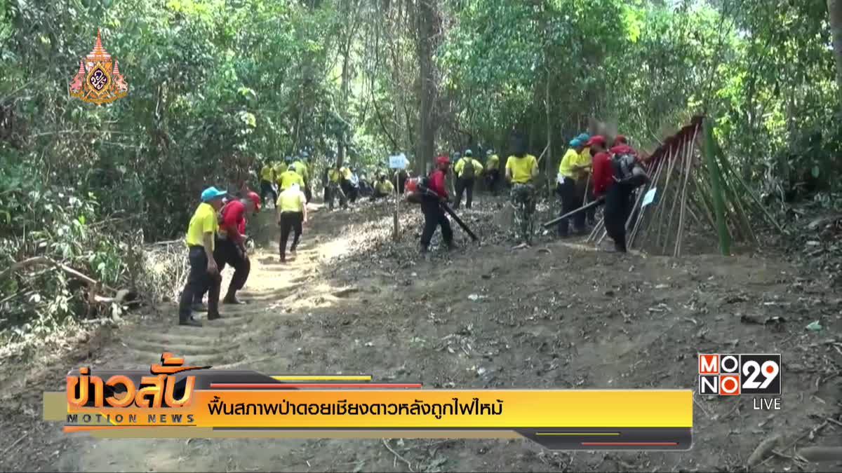 ฟื้นสภาพป่าดอยเชียงดาวหลังถูกไฟไหม้