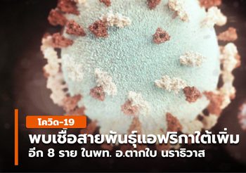 พบเพิ่ม 8 ตัวอย่าง เชื้อโควิด-19 สายพันธุ์แอฟริกาใต้