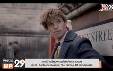 เสาร์นี้ เตรียมผจญภัยในโลกเวทมนตร์  กับ ภ. Fantastic Beasts: The Crimes Of Grindelwald