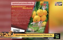 เตือนข่าวปลอม “สมุนไพรขันทองพยาบาท ใช้รักษามะเร็ง”