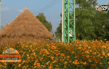 Good Morning Thailand 17-12-58