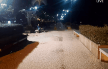 แมงชีปะขาว หลายล้านตัวเล่นไฟนครพนม