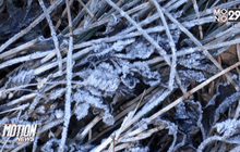 นักท่องเที่ยวสัมผัสลบ 2 องศาที่กิ่วแม่ปาน