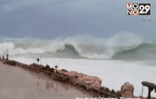 เยเมนเผชิญฝนตกหนักจากพายุไซโคลน “ชาปาลา”