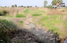 ภัยแล้งลาม 70 จังหวัด ช่วงมี.ค.-มิ.ย.ไร้ฝน