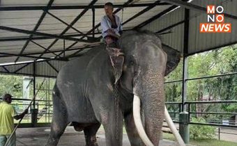กรมอุทยานแห่งชาติฯ เตรียมพา”พลายศักดิ์สุรินทร์” กลับบ้าน