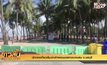 นักท่องเที่ยวเริ่มเข้าพักผ่อนชายหาดบางแสน จ.ชลบุรี