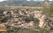 ผลกระทบจากภัยแล้ง