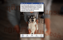 ทารุณสัตว์…ไม่รู้ว่าผิด ?