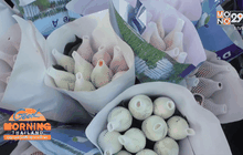 เชียงใหม่ตุนกุหลาบกว่าแสนดอก ขายวาเลนไทน์ 