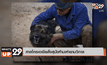 ศาลโครเอเชียสั่งสุนัขห้ามเห่ายามวิกาล