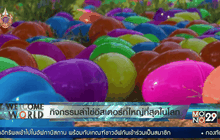 กิจกรรมล่าไข่อีสเตอร์ที่ใหญ่ที่สุดในโลก