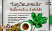 กินใบทุเรียนเทศเสี่ยงตับ-ไตวายเฉียบพลัน