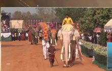 สุรินทร์จัดยิ่งใหญ่ การแสดง 6 ฉาก เชิดชูช้างไทย