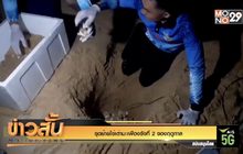 ขุดย้ายไข่เต่ามะเฟืองรังที่ 2 ของฤดูกาล