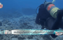 แผนย้ายฐานทัพสหรัฐกระทบสิ่งแวดล้อมเกาะโอกินาวะ