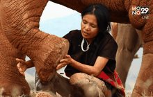 Five minutes Bighero คุณแสงเดือน  ชัยเลิศ  ตอนที่ 3