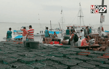 อาซาอี “ซูเปอร์ฟรุ๊ต” จากบราซิล