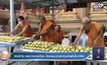พิษโควิด พระวางตาลปัตร นั่งขายมะม่วงหาทุนจ่ายค่าน้ำ-ค่าไฟ
