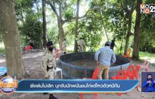 ยังเล่นไม่เลิก บุกจับนักพนันชนไก่แต่ไหวตัวหนีทัน