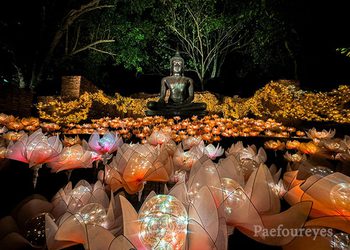 เช็กอิน ห่มสไบ ชมไฟ ณ สัทธา อุทยานไทย NaSatta Light Festival Winter Illumination 2024