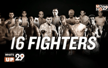 Mono29 Topking World Series 2015