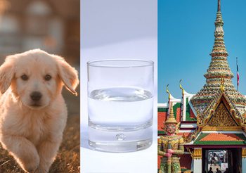 เคล็ดลับเสริมดวง วันจันทร์ ที่ 21 สิงหาคม 2566