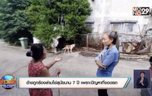 อ้างถูกร้องล่ามโซ่สุนัขนาน 7 ปี เพราะปัญหาที่จอดรถ