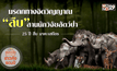 มรดกทางจิตวิญญาณ “สืบ” สานนักวิจัยสัตว์ป่า