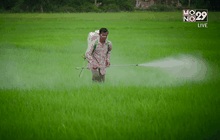 Five minutes Bighero : ลุงชัยพร ตอนที่ 4/5