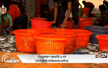 ก.เกษตรฯ เสนอใช้ ม.44 แก้ปัญหาใบเหลืองประมงไทย