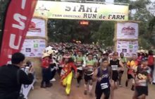 ฟาร์มโชคชัยจัดงานวิ่งฤดูหนาวส่งท้ายปี
กับงาน “Farm Chokchai Run de Farm ครั้งที่ 2”