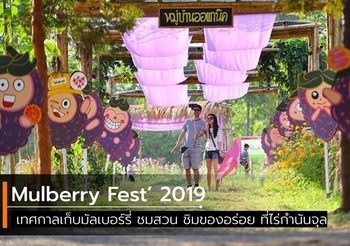 Mulberry Fest’ 2019 เทศกาลเก็บมัลเบอร์รี่ ชมสวน ชิมของอร่อย ที่ไร่กำนันจุล