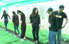 ผู้ประกาศ-นักแสดงโมโนฯ ร่วมปลูกดาวเรือง ถวาย ร.9