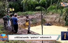 นาทีชีวิตช่วยเหลือ “ลูกช้างป่า” พลัดตกสระน้ำ